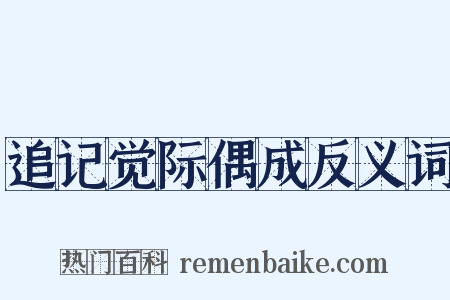 追记觉际偶成反义词是什么意思的图片
